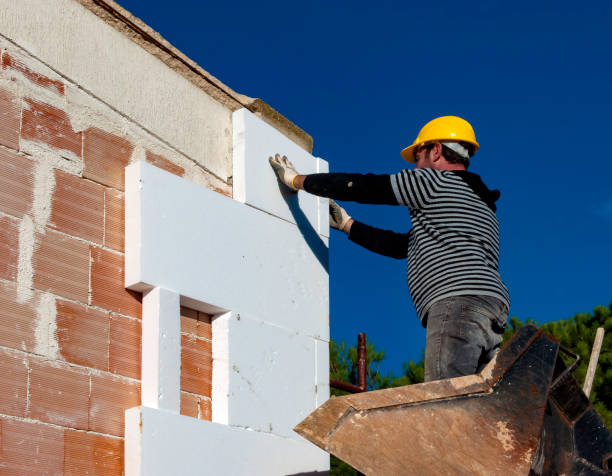 Best Types of Insulation in Virginia Beach, VA