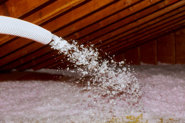 Best Insulation Installation Services in Virginia Beach, VA