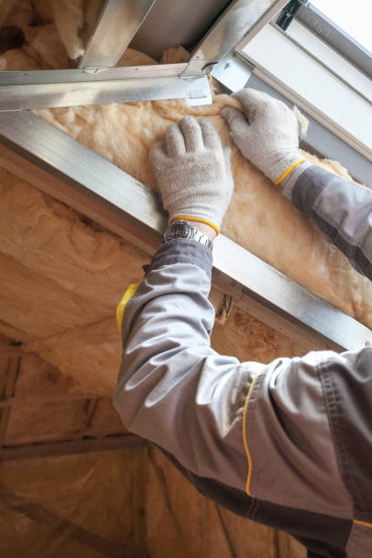 Best Residential Insulation in Virginia Beach, VA