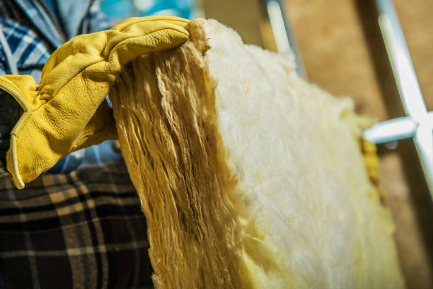 Best Insulation Installation Services in Virginia Beach, VA